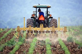 SUPPORT YOUR LOCAL FARMER'S 